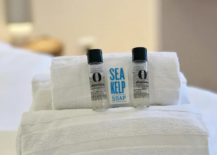 Le Filatier - Centre - Luxe - Balcon - Climatisation * Toulouse